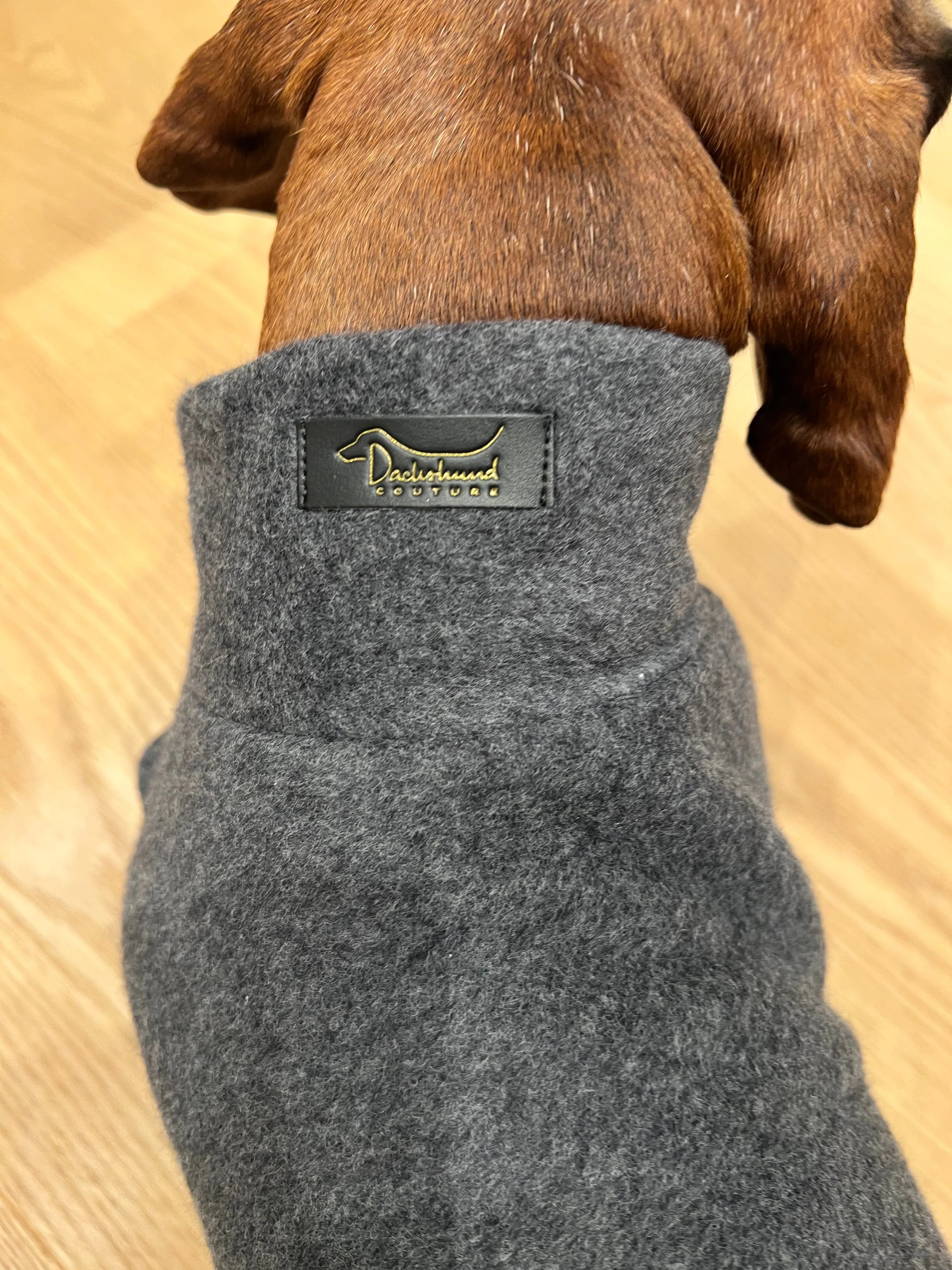Dachshund Cotton Fleece jumper John