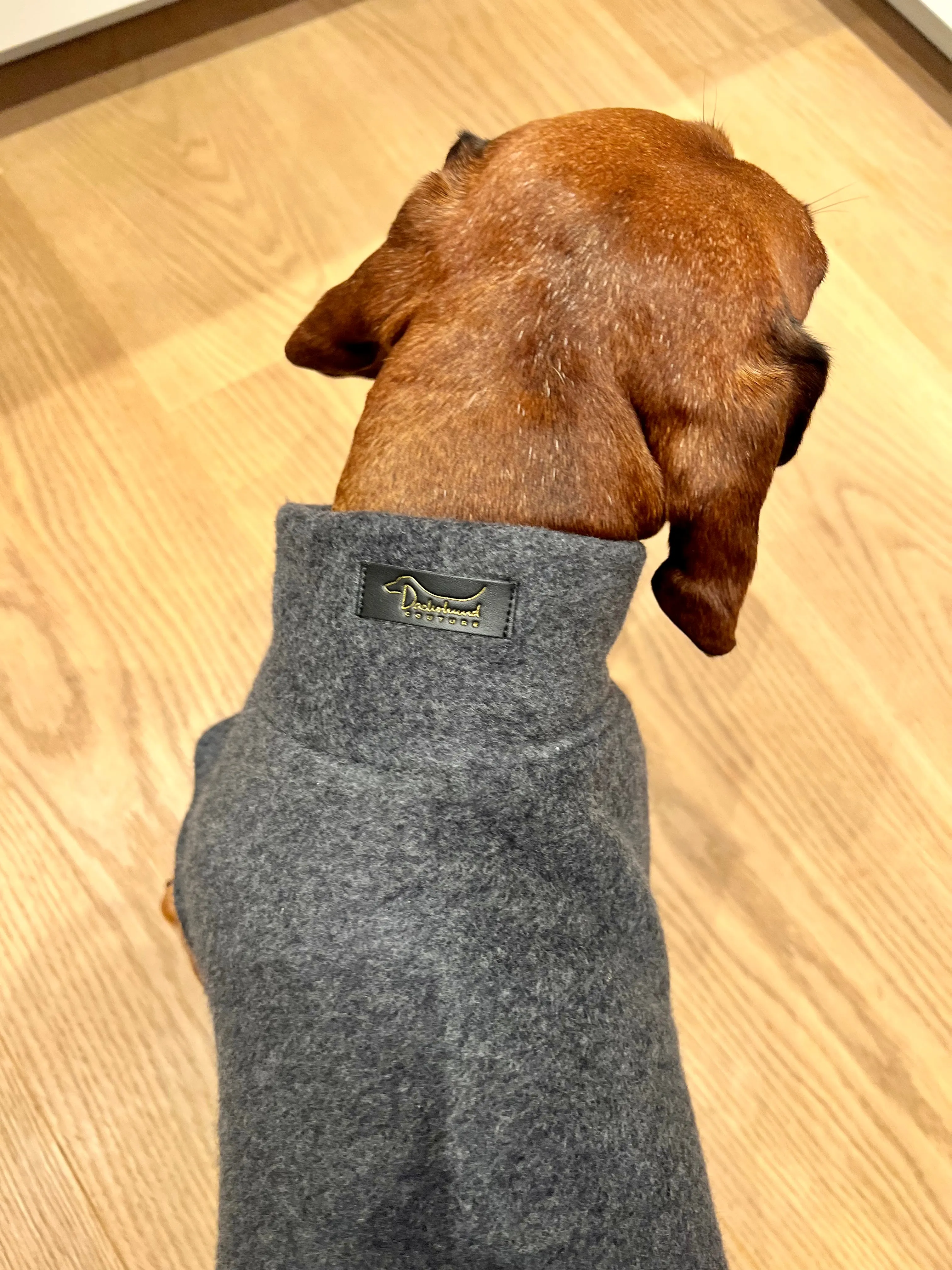 Dachshund Cotton Fleece jumper John
