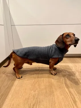 Dachshund Cotton Fleece jumper John